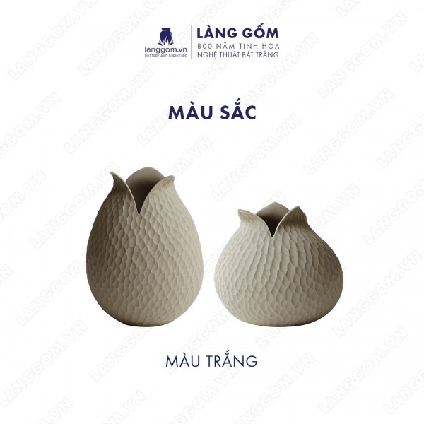 Nụ hoa gẩy